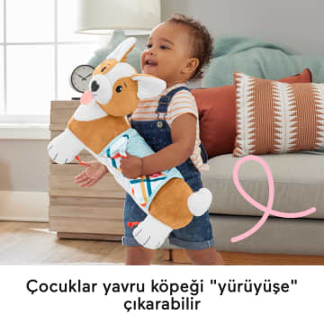 Fisher-Price 3'Ü 1 Arada Köpekçik Uzanma Yastığı