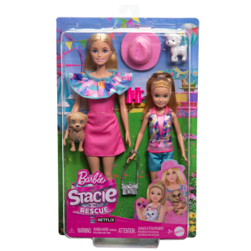 Barbie En Stacie, Poppenset Van Twee Zusjes, Met 2 Hondjes En Accessoires