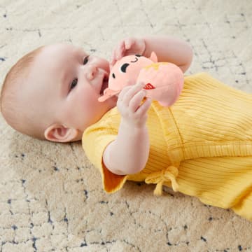 Fisher Price Zoveel Zintuigen Cadeauset, 4 Zintuiglijke Speeltjes Voor Baby'S Om Fijnmotorische Vaardigheden Te Verbeteren