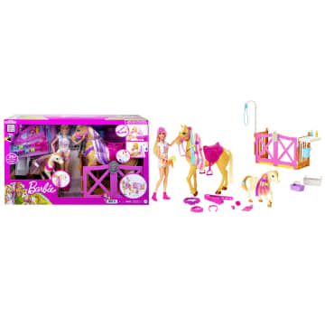 Barbie Groom 'n Care Doll, Horses and Playset