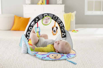 Fisher-Price 2-in-1 Activity Gym