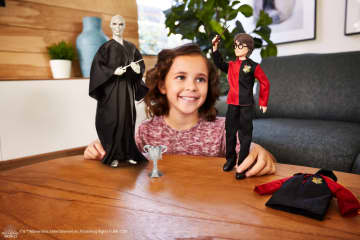 Harry Potter Lord Voldemort And Harry Potter Dolls