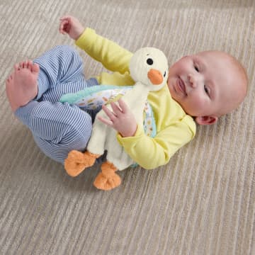 Fisher Price Knuffelgans Zintuiglijk Speelgoed Voor Baby'S, Knuffel Met Geluid Voor Baby'S