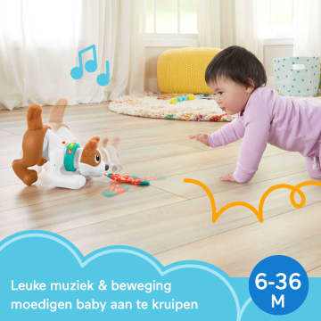 Fisher-Price – 123 Kruip Met Mij Puppy – Nl - Image 2 of 6