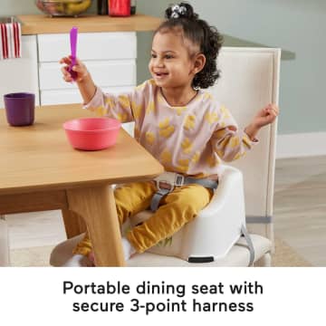 Fisher-Price Simple Clean & Comfort Booster