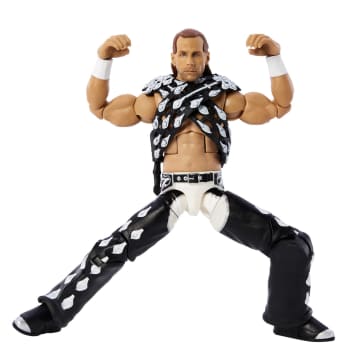 WWE Shawn Michaels SummerSlam Elite Collection Action Figure