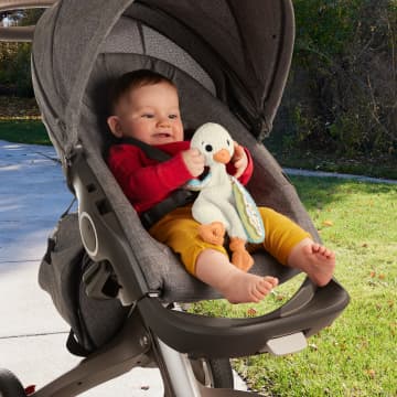 Fisher Price Knuffelgans Zintuiglijk Speelgoed Voor Baby'S, Knuffel Met Geluid Voor Baby'S