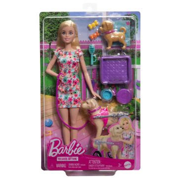 Κούκλα Barbie Με Κουταβάκι Και Σκυλάκι Σε Αναπηρικό Αμαξίδιο, Αξεσουάρ Για Κατοικίδια
