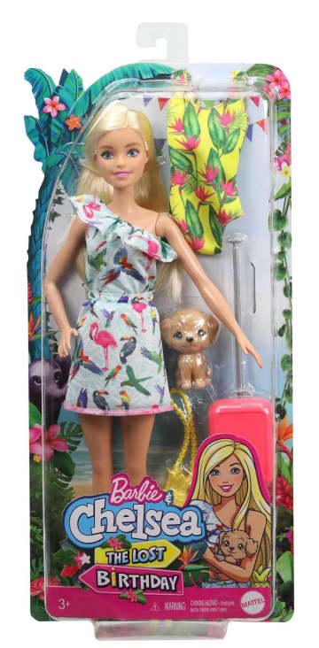 Barbie and Chelsea The Lost Birthday Doll and Accessories