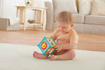 Fisher-Price Brinquedo para Bebês Balde Animaizinhos Divertidos