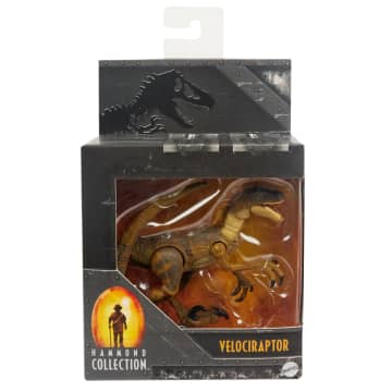 Jurassic World Hammond Collection Human Or Dinosaur Figures, 8 Year Olds To Adult - Image 6 of 6