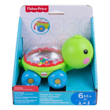 Fisher-Price Brinquedo para Bebês Veículo dos Animais Tartaruga