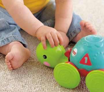 Fisher-Price Brinquedo para Bebês Empurra Tartatuga - Imagem 3 de 5