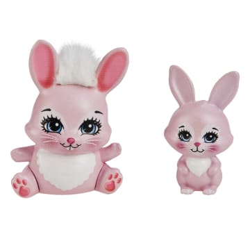 Enchantimals Bree Bedelia Bunny Sister Dolls 6 in 4 in 2