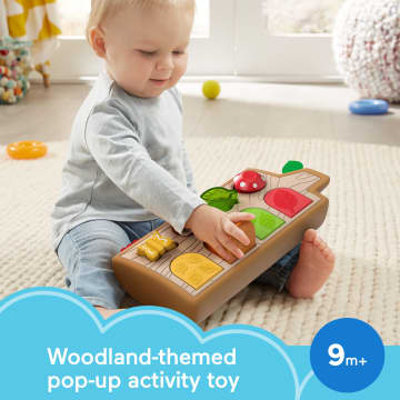 Fisher-Price Hide & Peek Pop-Up Infant Activity Toy