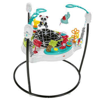 Fisher-Price Baby Bouncer Animal Wonders Jumperoo Activity Center With Music And Lights