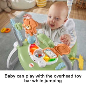 Fisher-Price Space Saver Jumperoo Baby Activity Center With Lights & Sounds, Sweet Snugapuppy