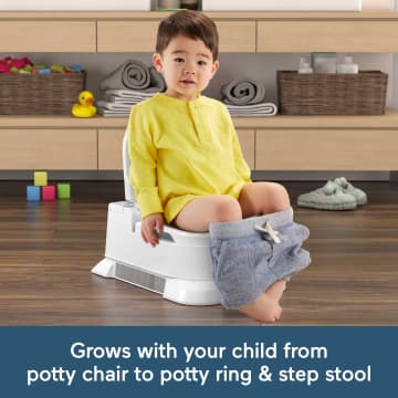 Fisher-Price Home Decor 4-In-1 Potty