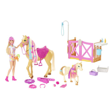 Barbie Groom 'n Care Horses Playset With Barbie Doll (Blonde 11.5-In)