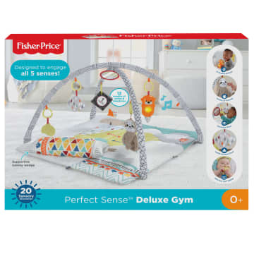 Fisher-Price Perfect Sense Deluxe Gym With 6 Removable Activity Toys