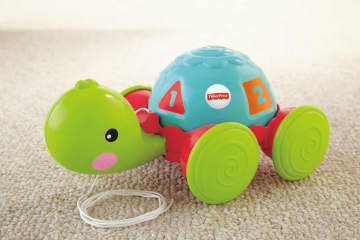 Fisher-Price Brinquedo para Bebês Empurra Tartatuga - Imagem 4 de 5