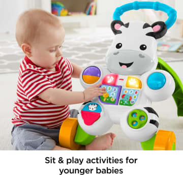 Fisher-Price Baby Walker With Lights Music And Activities, Learn With Me Zebra Walker