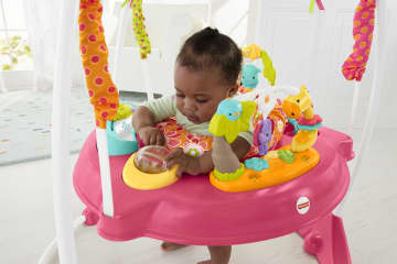 Fisher-Price Pink Petals Jumperoo With Music, Lights & Sounds