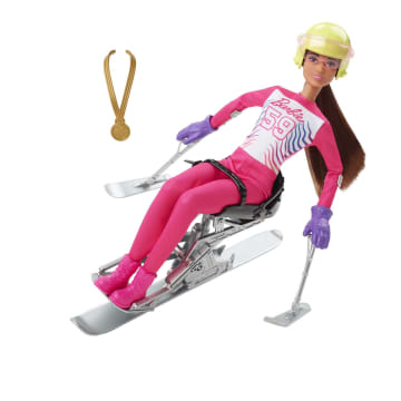 Barbie Para Alpine Skier Doll, Brunette With Ski Outfit, Trophy &Winter Sport Accessories