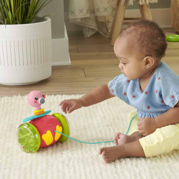 Fisher-Price  Amis Merveilleux  Flamant à Tirer, Jouet Pour Bébé