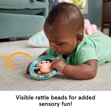 Fisher Price Shake & Spin Axolotl Rattle Baby Toy With Fine Motor Activity For Newborns