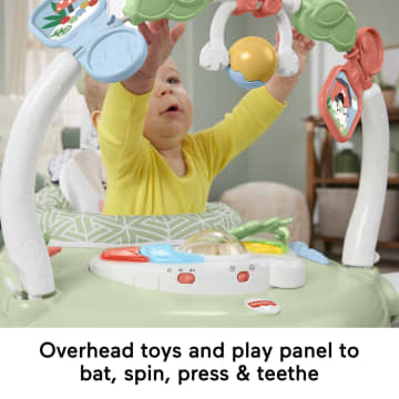 Fisher-Price Spacesaver Jumperoo Baby Bouncer Activity Center With Lights & Sounds, Puppy Perfection