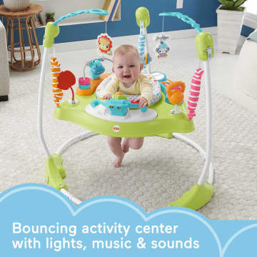 Fisher-Price Fitness Fun Folding Jumperoo Activity Center