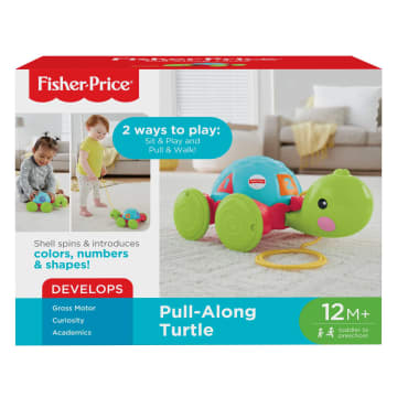 Fisher-Price Brinquedo para Bebês Empurra Tartatuga - Imagem 5 de 5