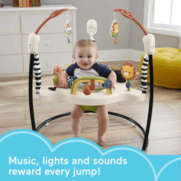 Fisher-Price Jumperoo Baby Activity Center With Lights Music And Sounds, Palm Paradise