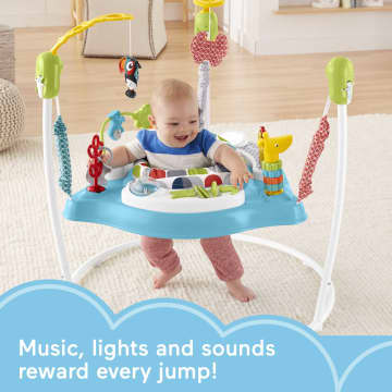 Color Climbers Jumperoo Entertainer