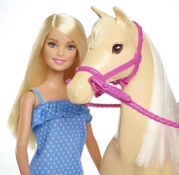 Barbie Doll & Horse Playset, Blonde Hair With Riding Accessories