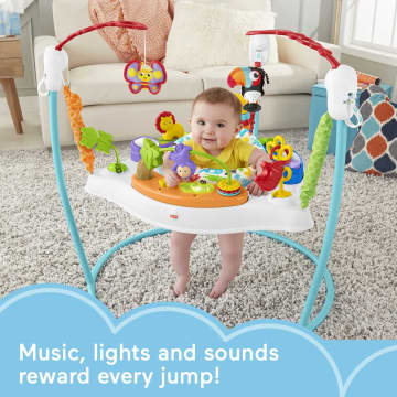 Fisher-Price Animal Activity Jumperoo With Music, Lights & Sounds