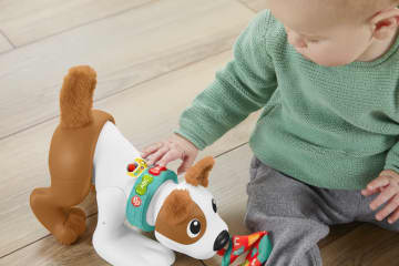 Fisher-Price 123 Crawl With Me Puppy - French Version