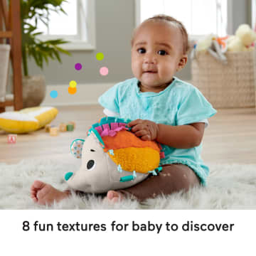 Fisher-Price Cuddle ‘n Snuggle Hedgehog Plush infant Sensory Toy With Rattle & Crinkle Sounds