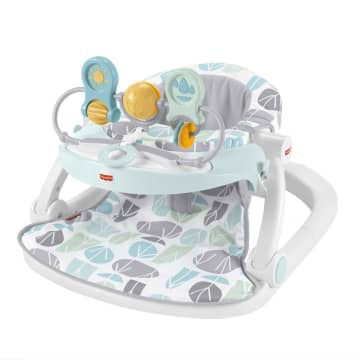 Fisher-Price Deluxe Sit-Me-Up Floor Seat Pebble Stream, Baby Chair
