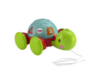 Fisher-Price Brinquedo para Bebês Empurra Tartatuga - Imagem 1 de 5
