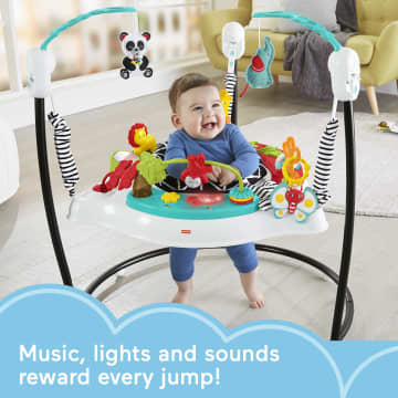 Fisher-Price Baby Bouncer Animal Wonders Jumperoo Activity Center With Music And Lights