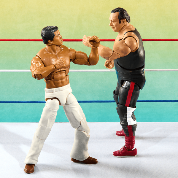 WWE Legends From the Territory Era Figure 4-Pack| Mattel Creations