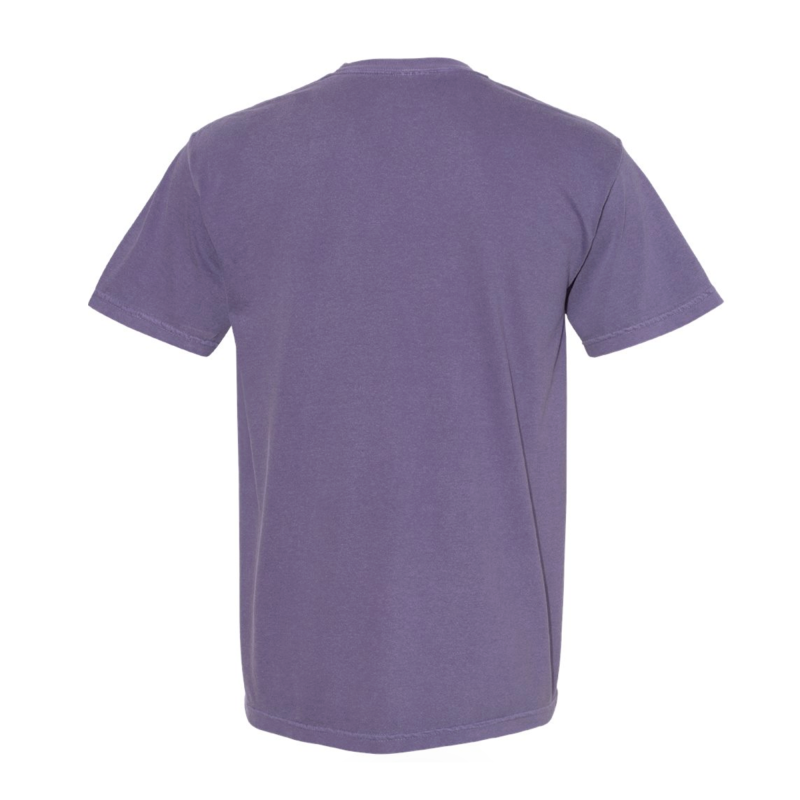 Barbie A Fairy Secret Purple T-shirt