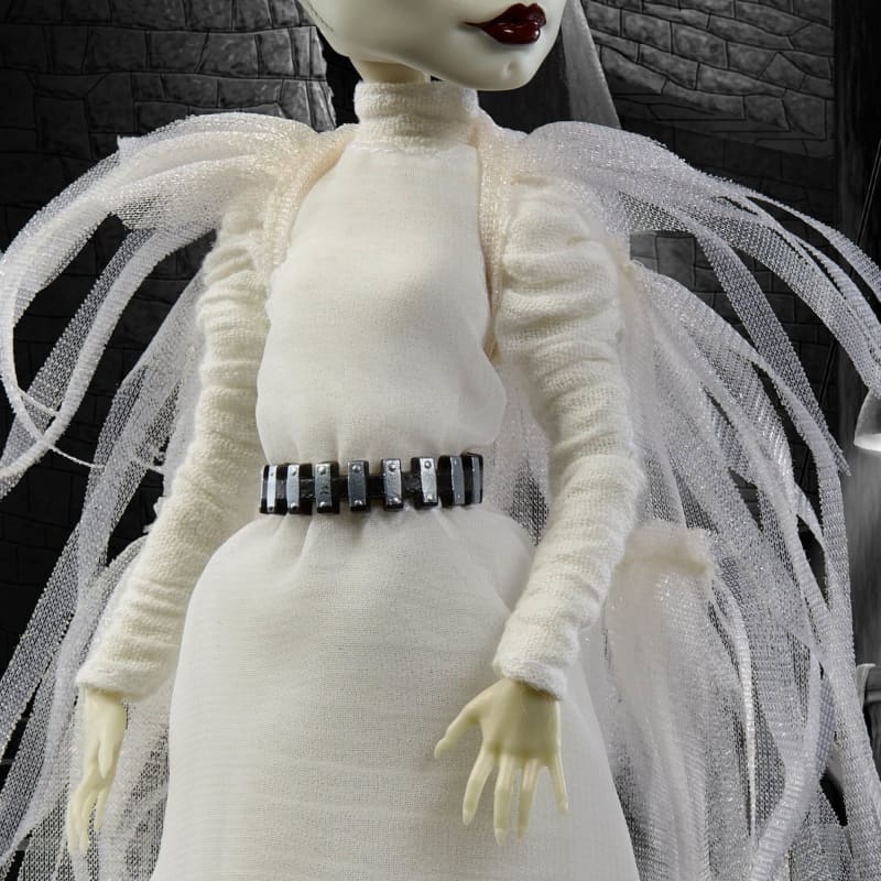 Frankenstein & Bride of Frankenstein Monster High Skullector Doll Set