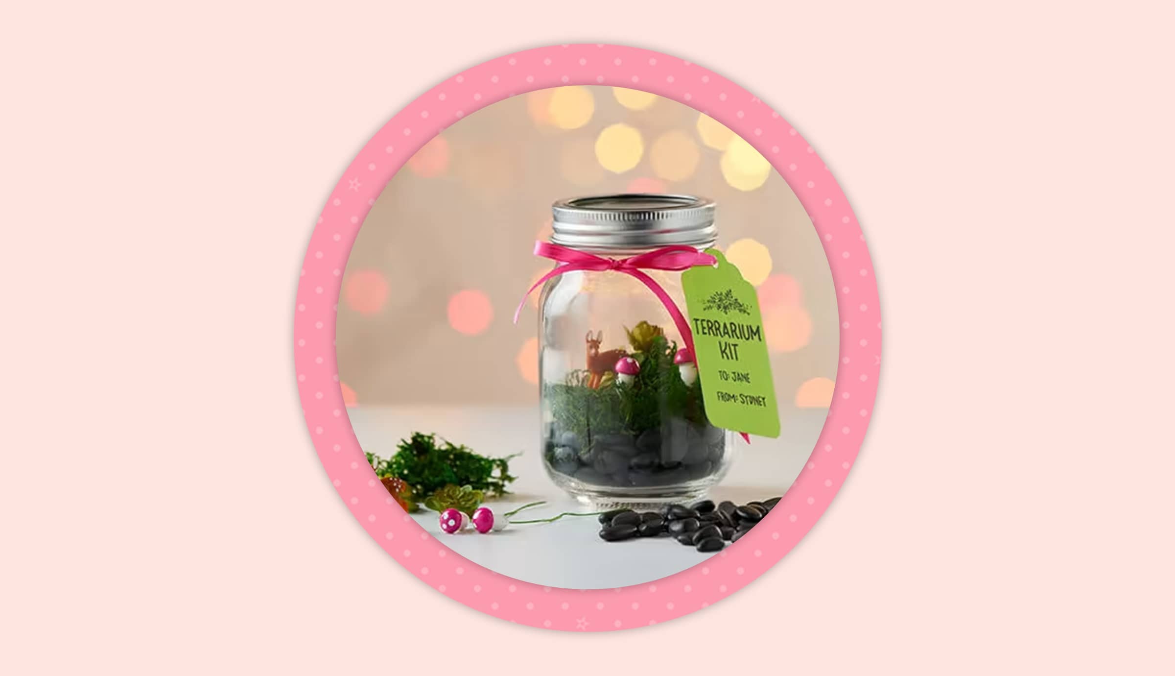 Terrarium kit