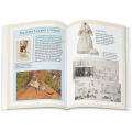 Felicity Merriman™ 18-inch Doll, Book & Accessories (Historical Characters)