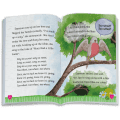 The Riddle of the Robin Book (WellieWishers™)