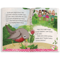 The Riddle of the Robin Book (WellieWishers™)