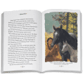 Smoke in the Wind: Kaya Book 2  (Historical Characters)